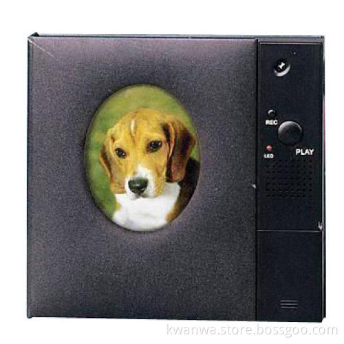 Digital Photo Frame, Can Record Multiple Messages and Hold 16 Photos, 2 x UM4 PowerNew
